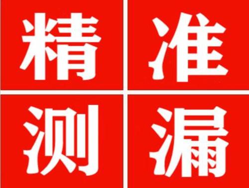 泰顺尚嘉漏水精准查找